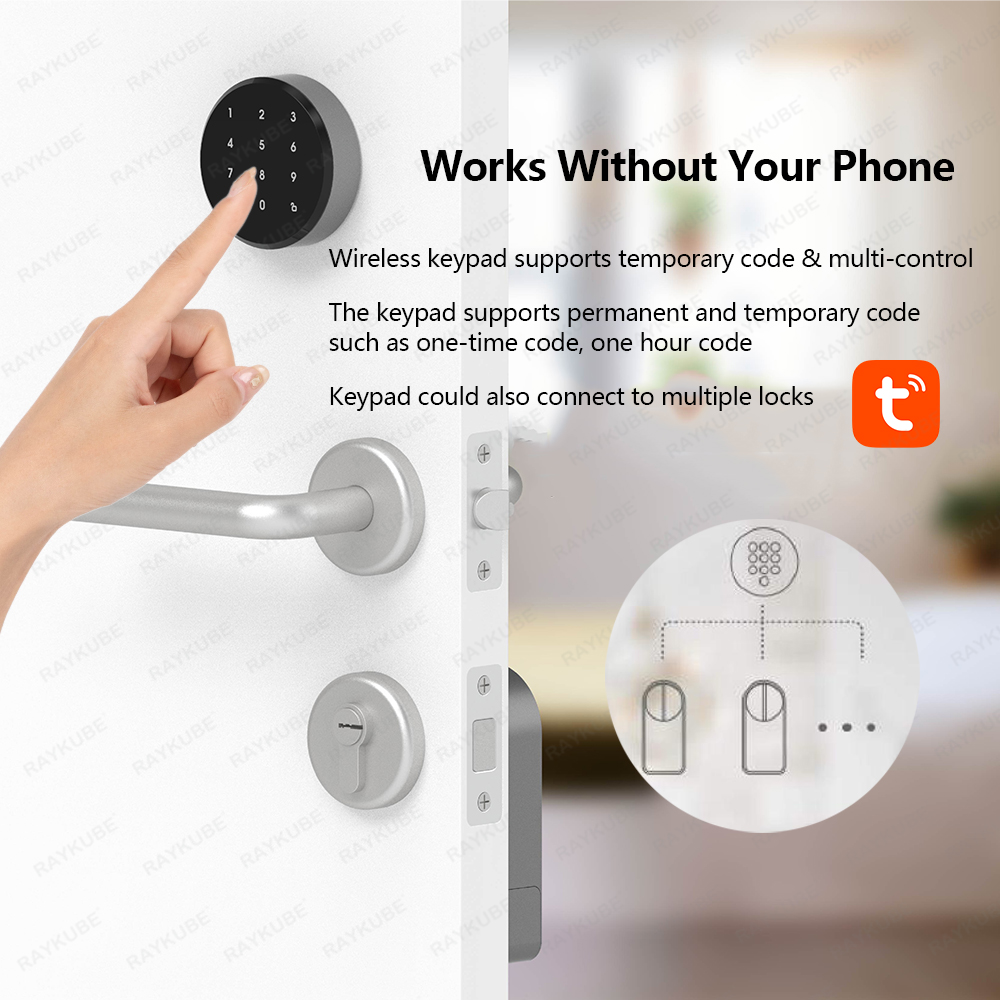 RAYKUBE A1 Pro Tuya BEL Набор  – обзор и цена Home Security Keypad