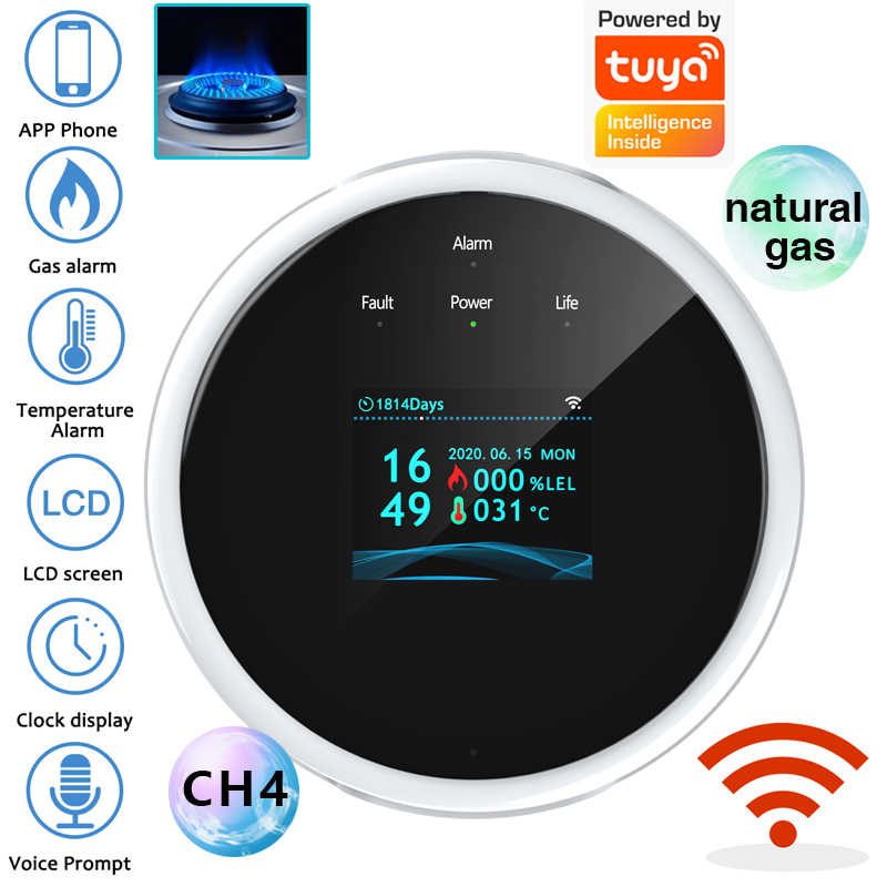 Датчик газа с Wi-Fi 2.4G, дете – обзор и цена Home Security Monitoring